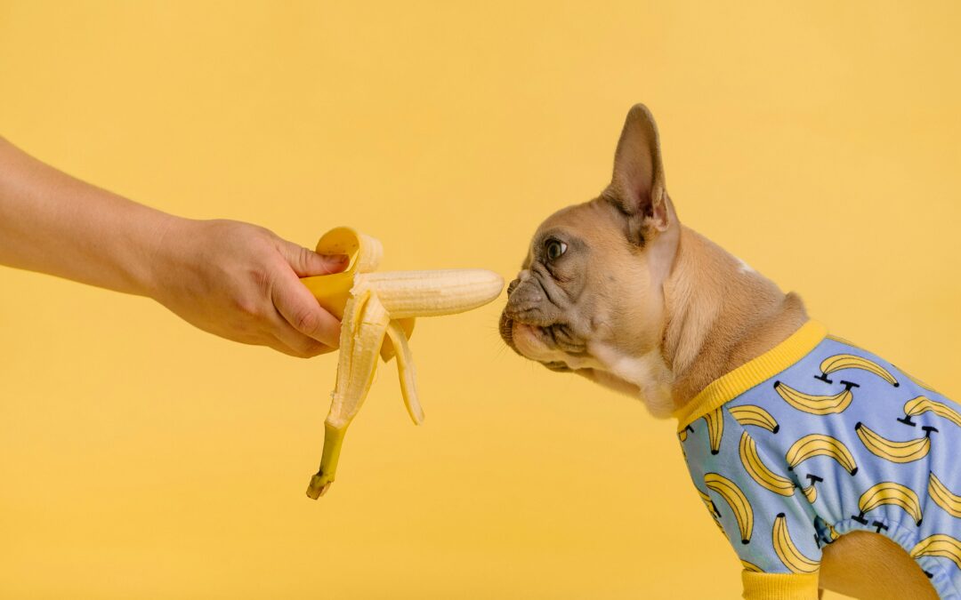Popsicles? Damn, It’s Gonna Be a Long, Hot Summer
