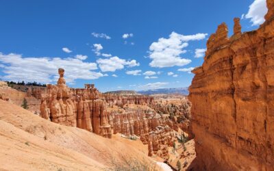 November, New Beginnings